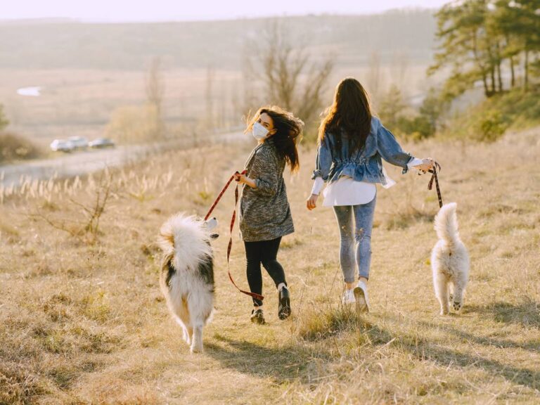 Dwie kobiety z psami. Obrazek w artykule Mam psa i co teraz? Przywileje i obowiązki związane z posiadaniem psa