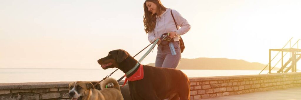 Kobieta z psem. Obrazek w artykule Mam psa i co teraz? Przywileje i obowiązki związane z posiadaniem psa