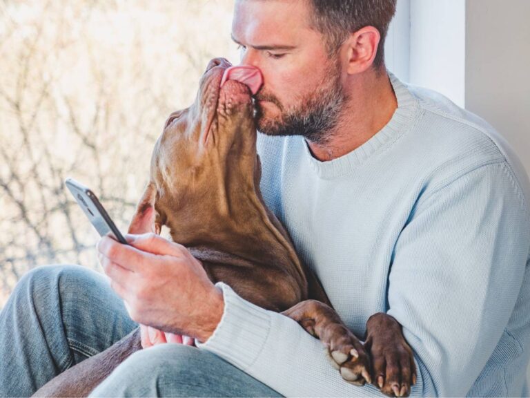 Mężczyzna z psem. Obrazek w artykule Dlaczego pies liże po twarzy? Pomagamy zrozumieć co komunikuje pies liżąc po twarzy