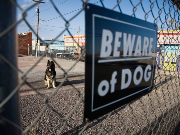 Tabliczka na siatce- tabliczka uwaga pies. Obrazek w artykule Tabliczka "uwaga pies". Dlaczego warto powiesić tabliczkę ostrzegawczą przed psem