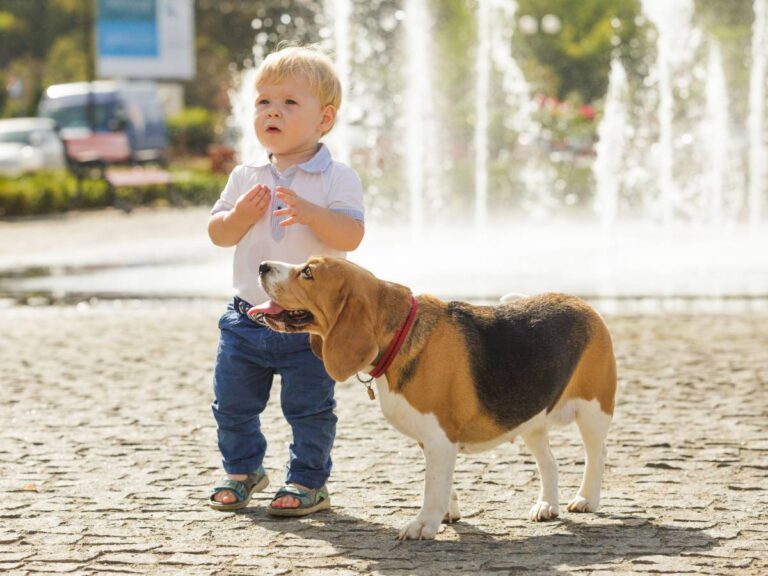 Chłopiec z pieskiem. Obrazek w artykule Czy pies może jeść awokado? Poznaj konsekwencje zjedzenia awokado przez psa