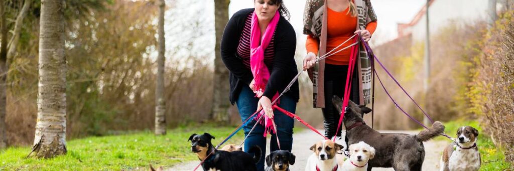 Dwie panie z psami na spacerze. Obrazek w artykule Czy pies może jeść banany? Poznaj efekty podawania psu bananów