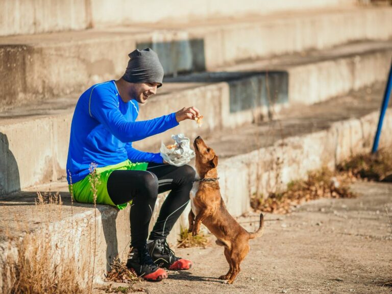 Chłopak karmi psa. Obrazek w artykule Jednoznacznie wyjaśniamy, czy pies może jeść czekoladę