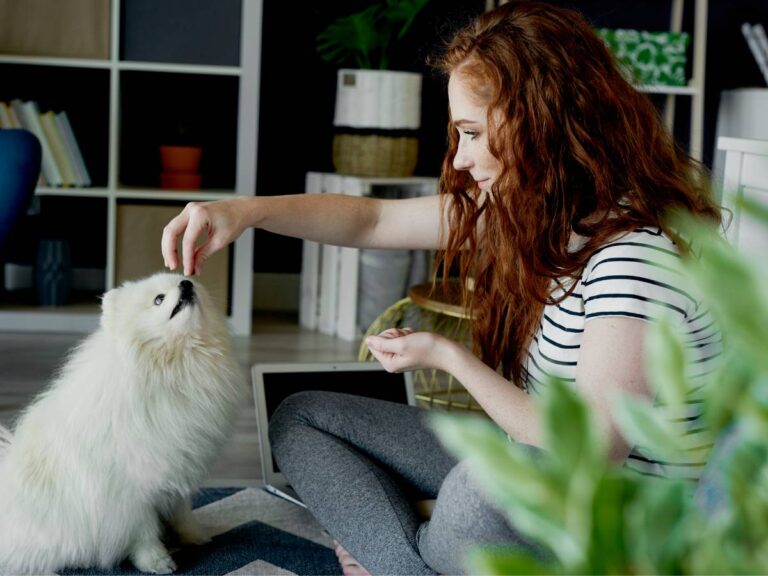 Kobieta karmi małego białego psa. Obrazek w artykule Czy pies może jeść gruszki? Odpowiedź i wskazówki o karmieniu psów