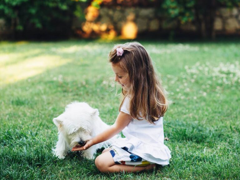 Mała dziewczynka z psem na trawie. Obrazek w artykule Czy pies może jeść pieczarki? Poznaj wpływ pieczarek na zdrowie psa
