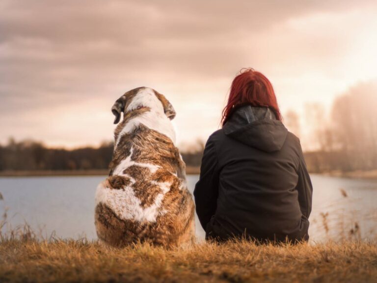 ułatwienie dla psa z niewydolnością serca