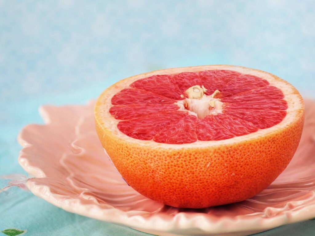 Czy pies może jeść grejpfruty? 13 grejpfruty