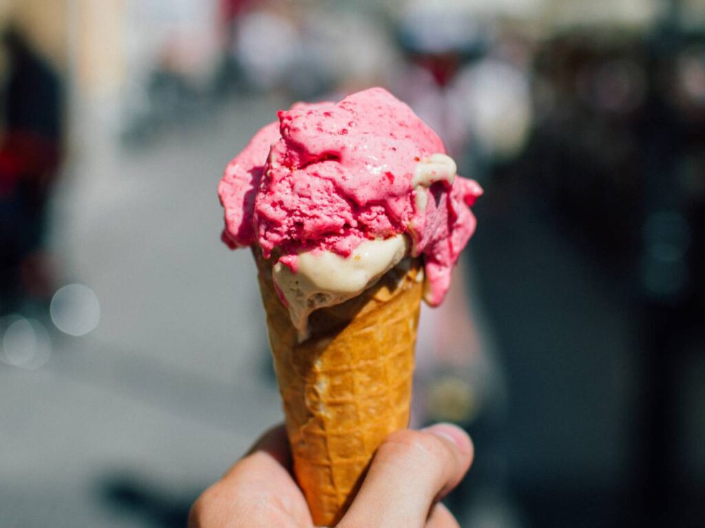 Czy pies może jeść lody? 13 lody