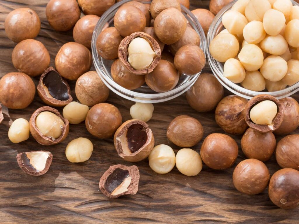 Czy pies może jeść orzechy macadamia? 15 orzechy macadamia